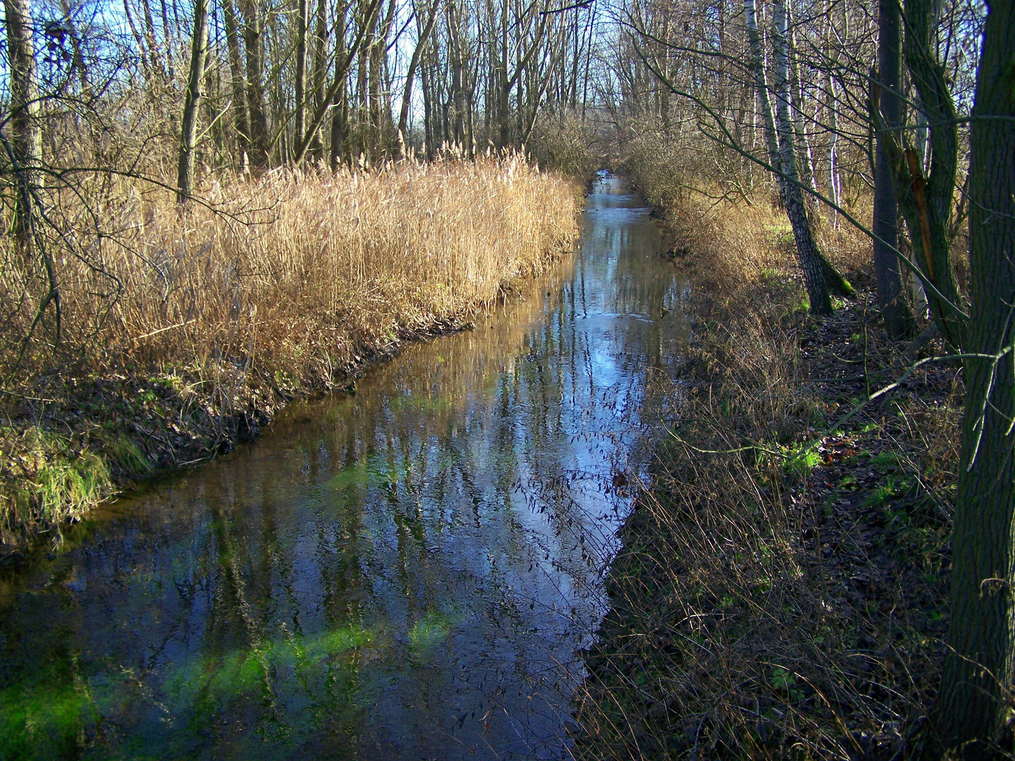 Bachlauf