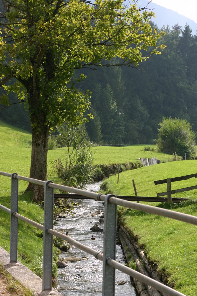 Bachlauf