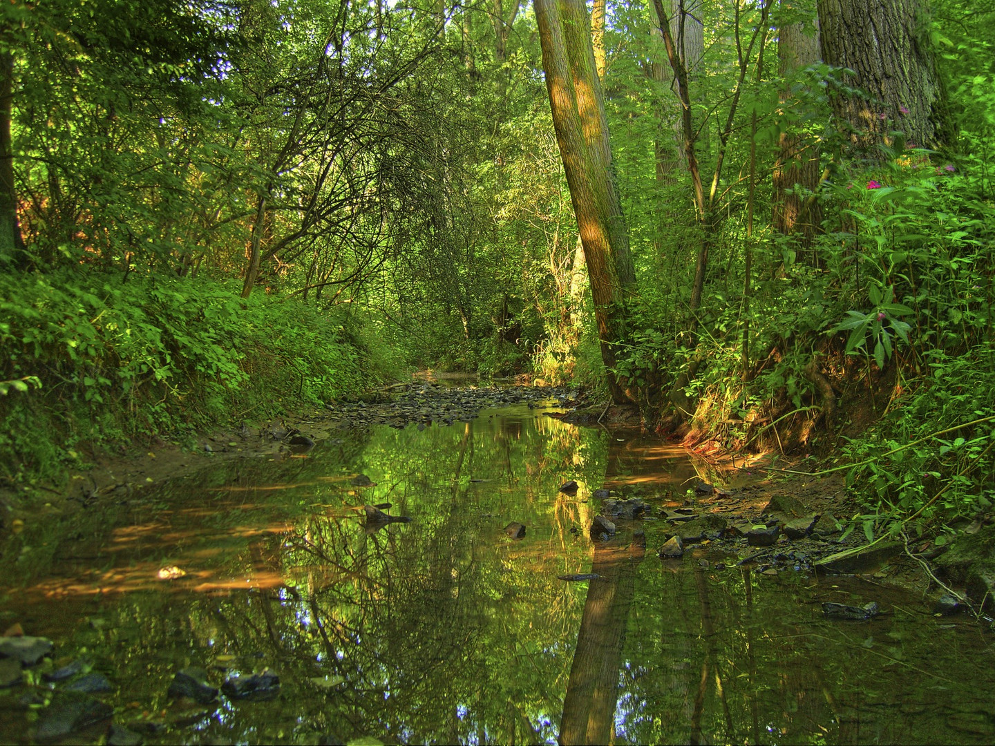 Bachlauf