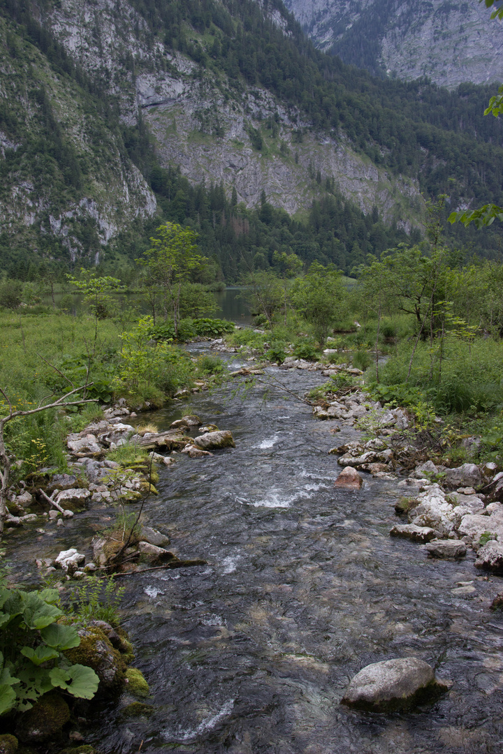 Bachlauf