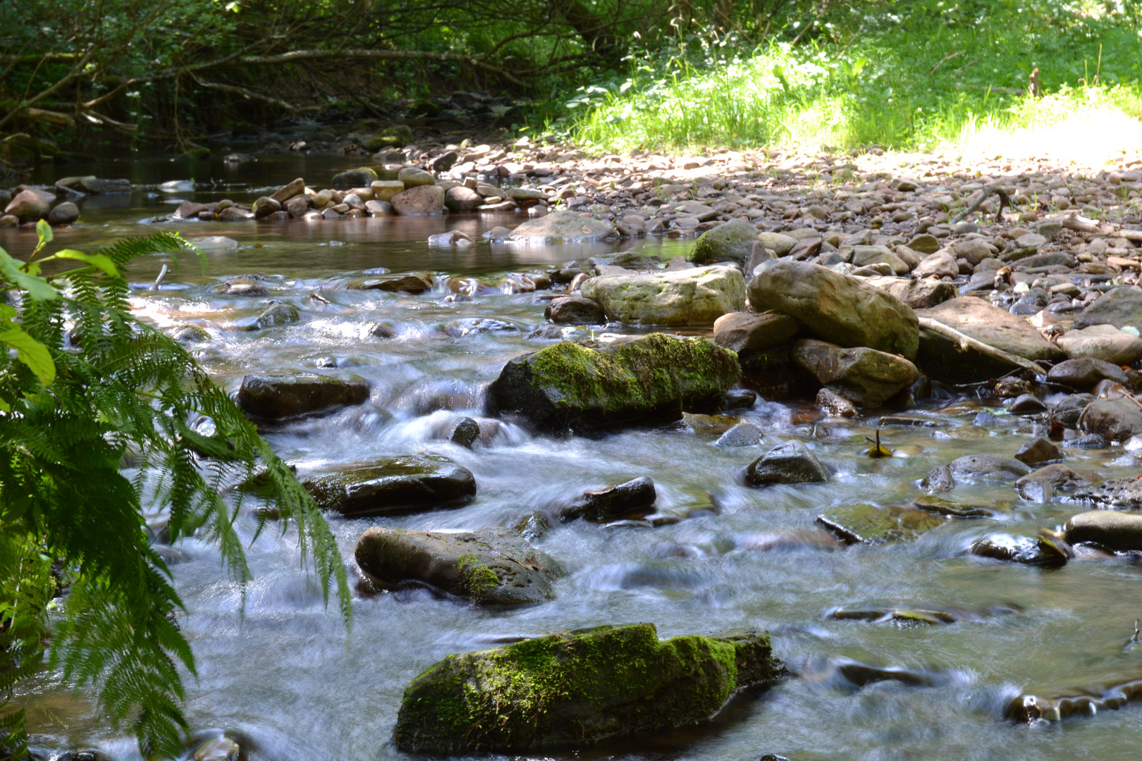 Bachlauf