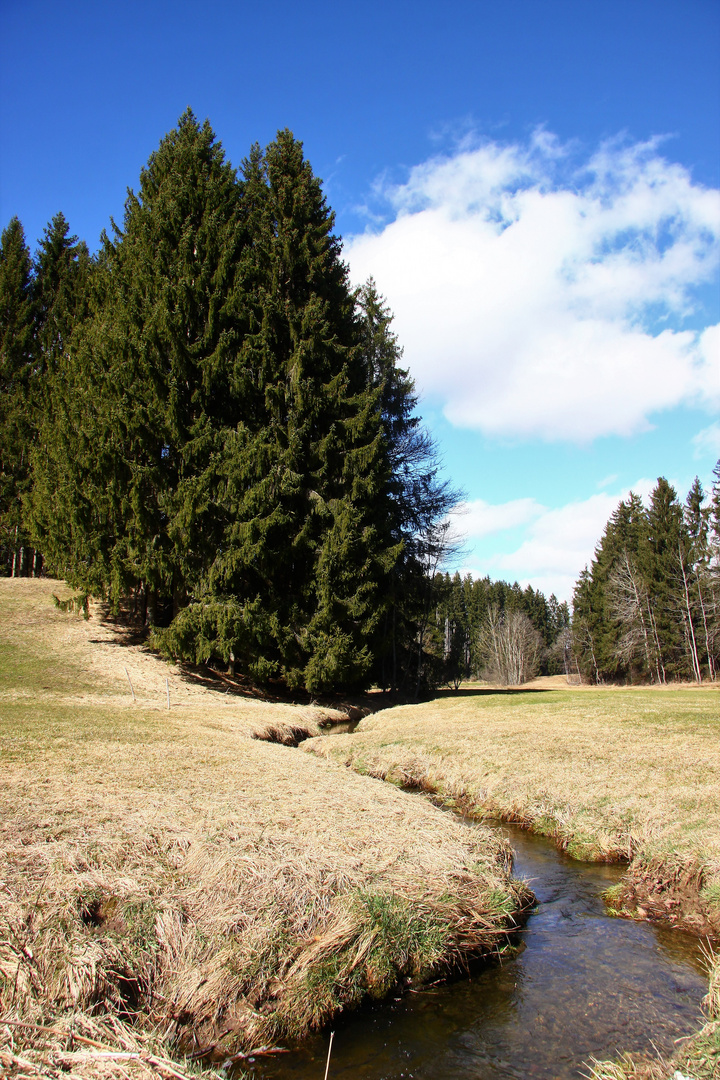 Bachlauf