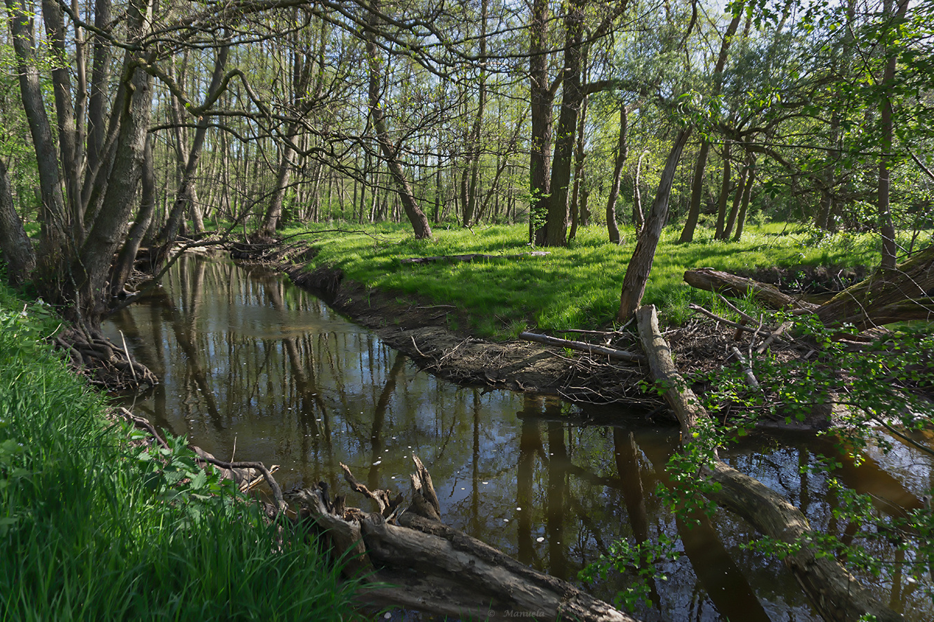 Bachlauf