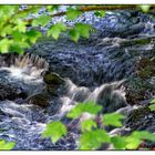 Bachlauf am Abbey Mill Wheel 