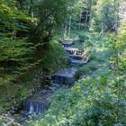 Bachlauf am Aufstieg zur Rachelalm