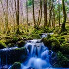 Bachlauf am Ausgang der Zweribach-Wasserfälle