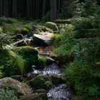 Bachlauf am Brocken