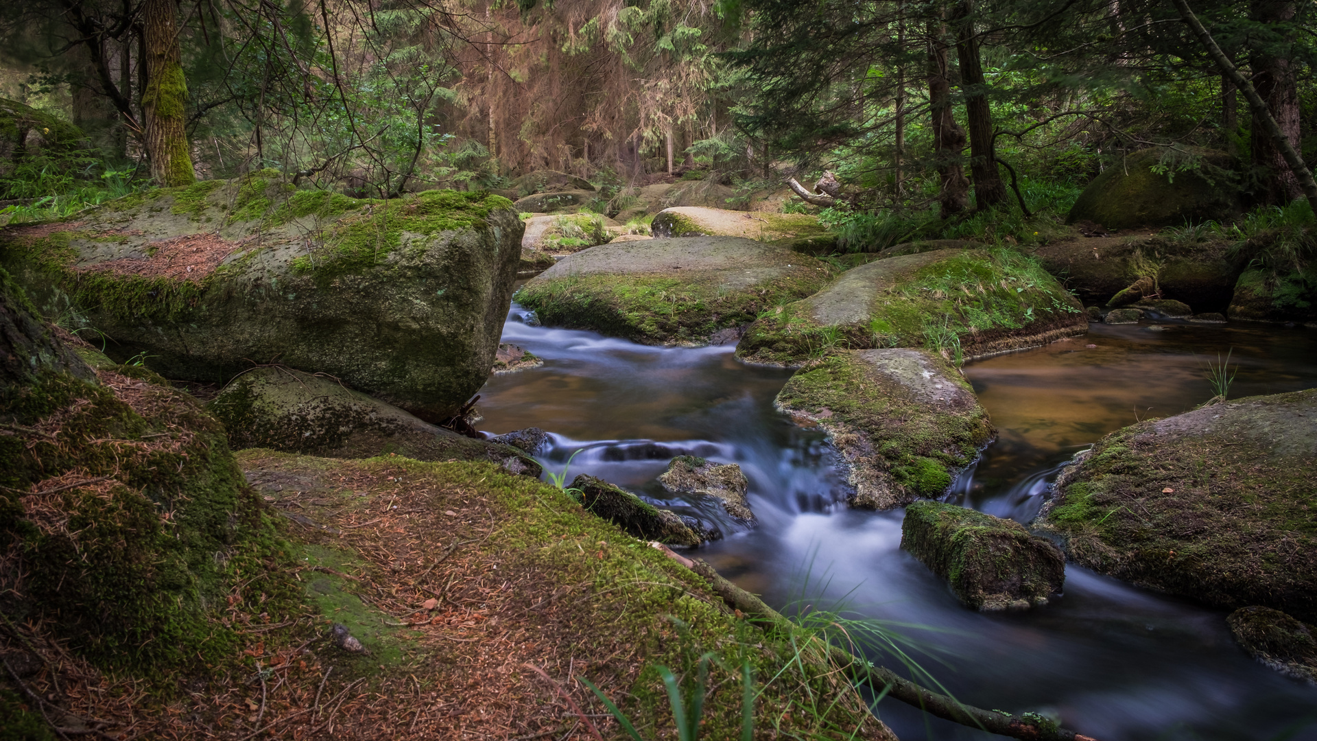 "Bachlauf am Brocken/Harz"