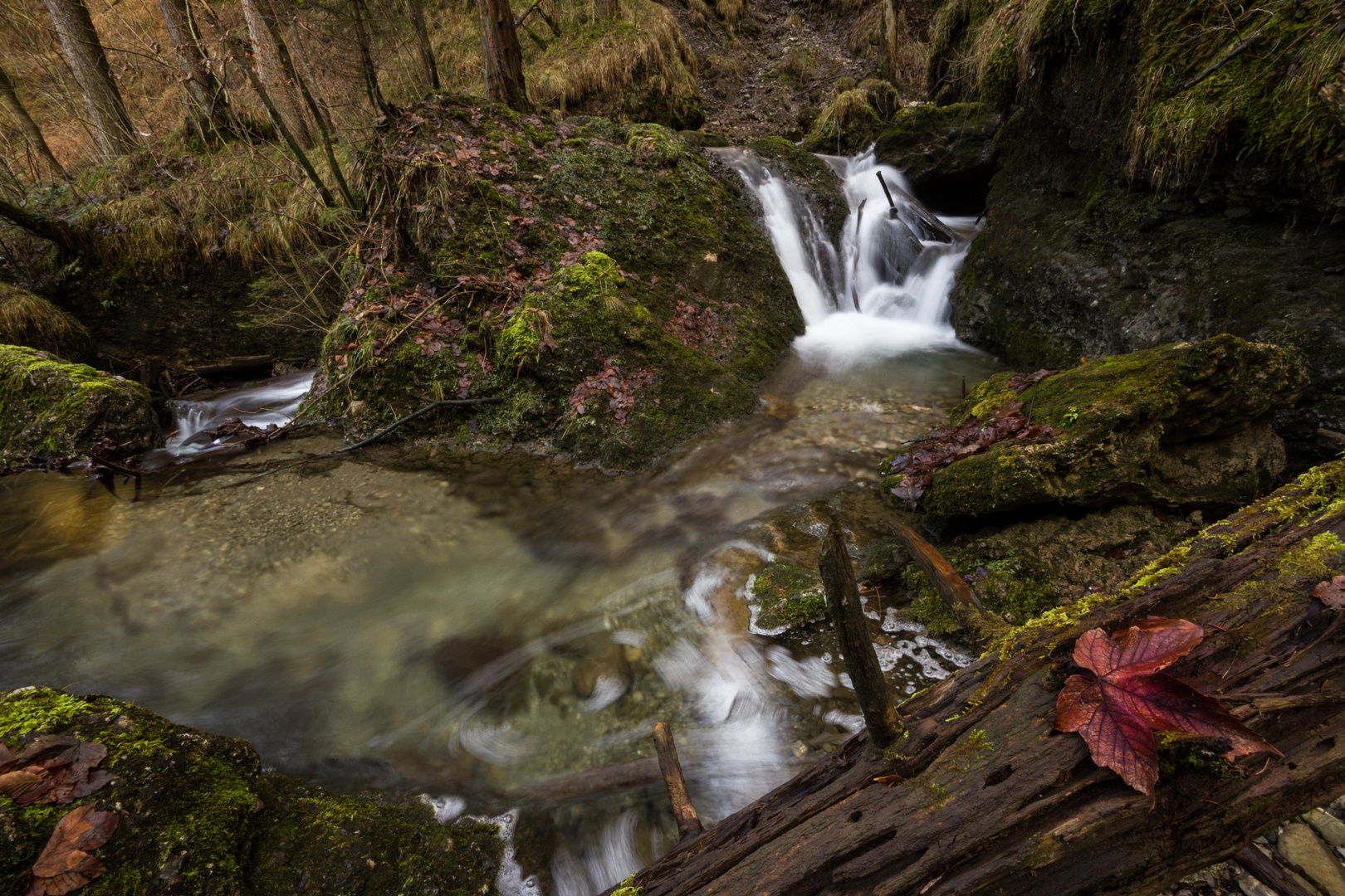 Bachlauf am Hinanger Wasserfall