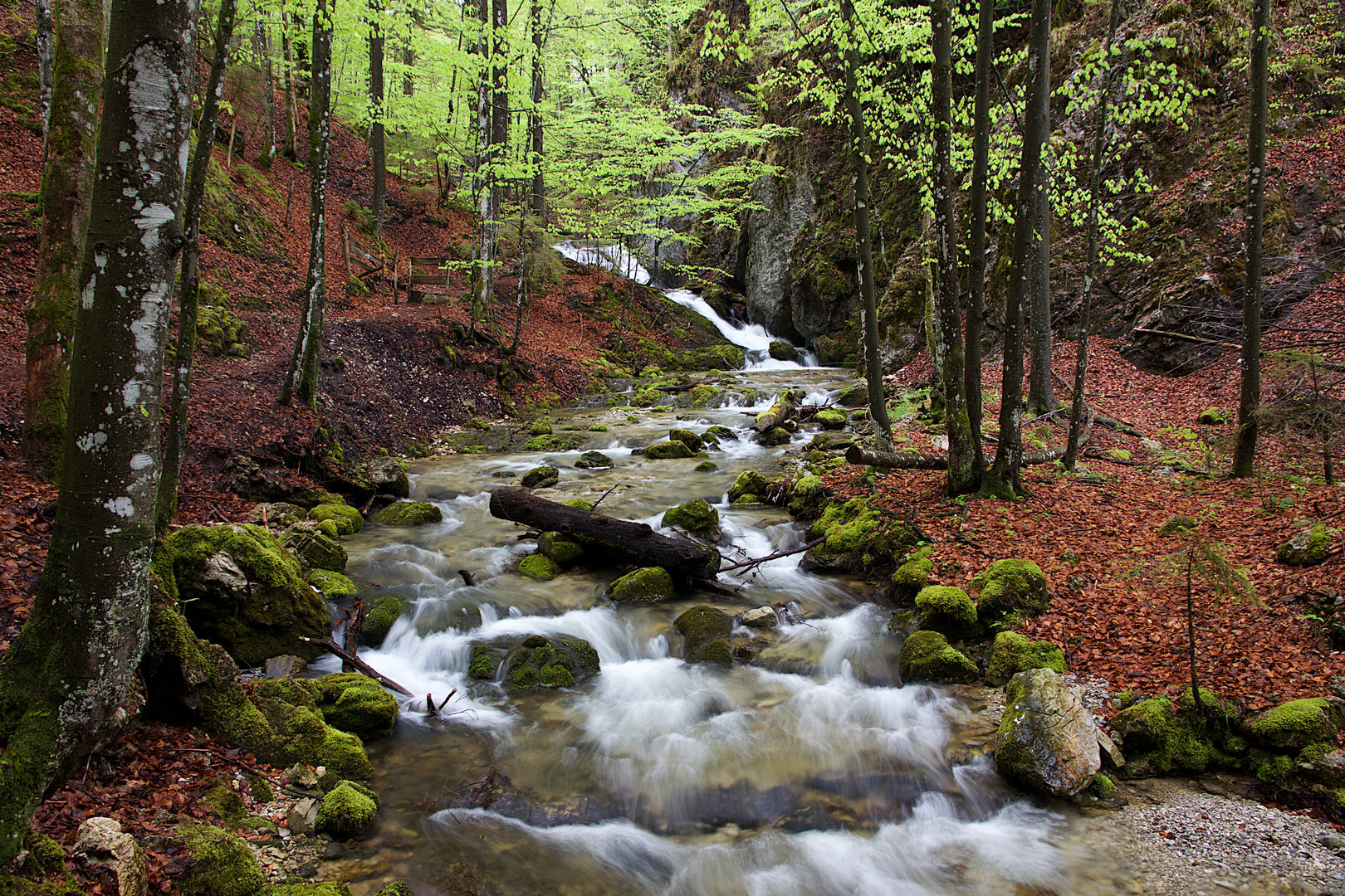 Bachlauf am Josefsthaler Wasserfall