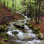 Bachlauf am Josefsthaler Wasserfall