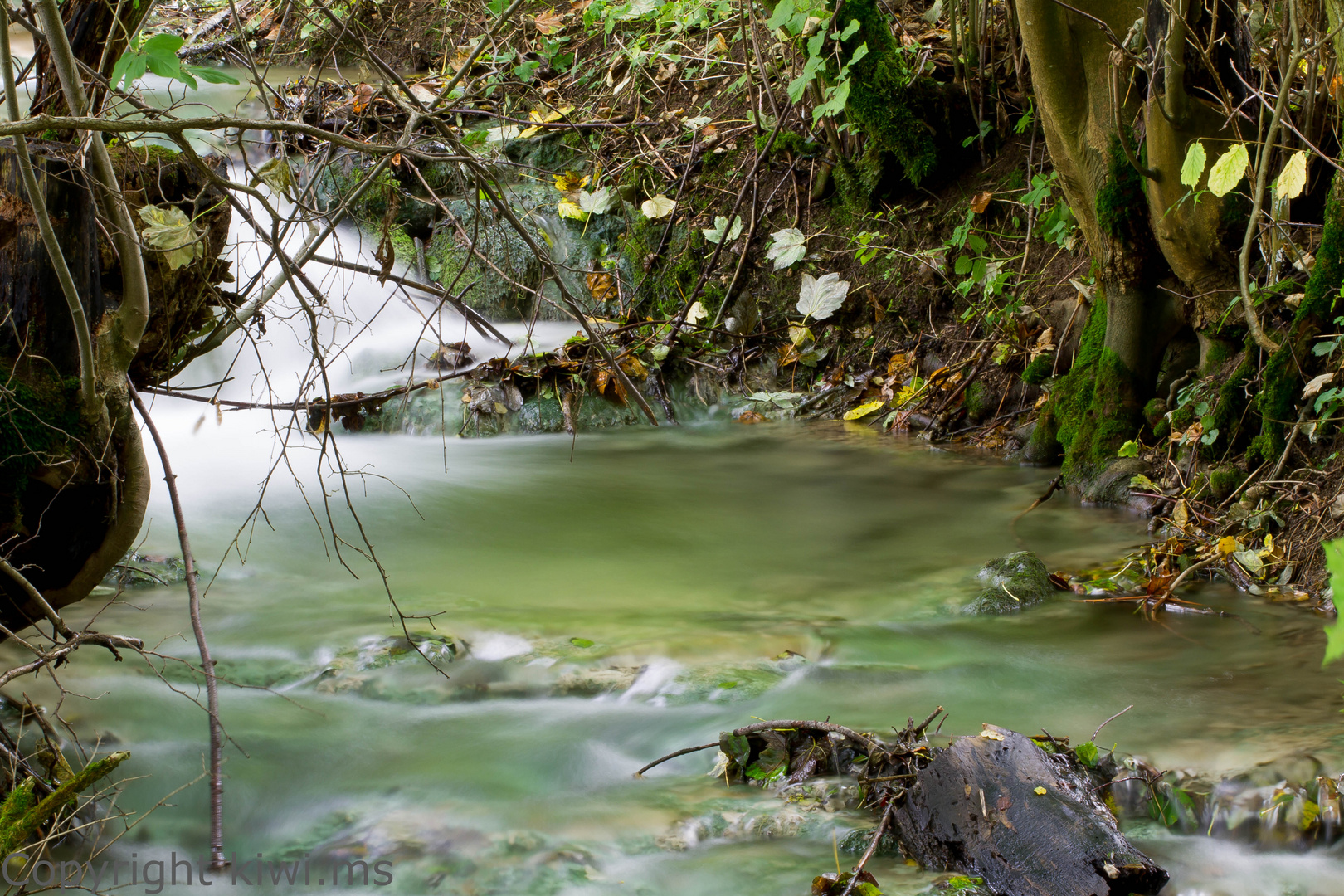 Bachlauf am Neidlinger Wasserfall