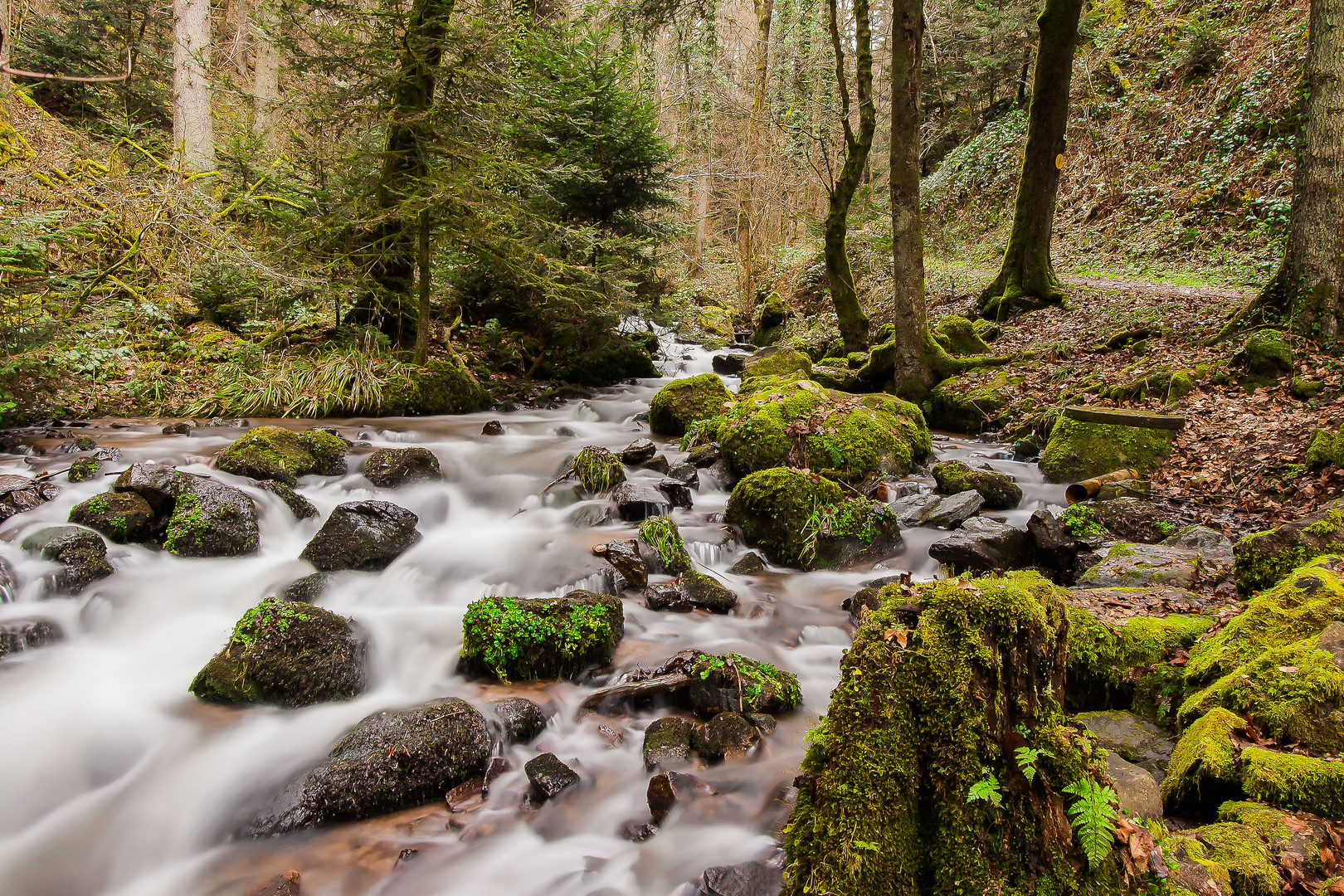 Bachlauf am Röthekopf