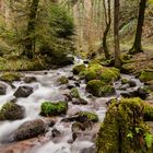 Bachlauf am Röthekopf