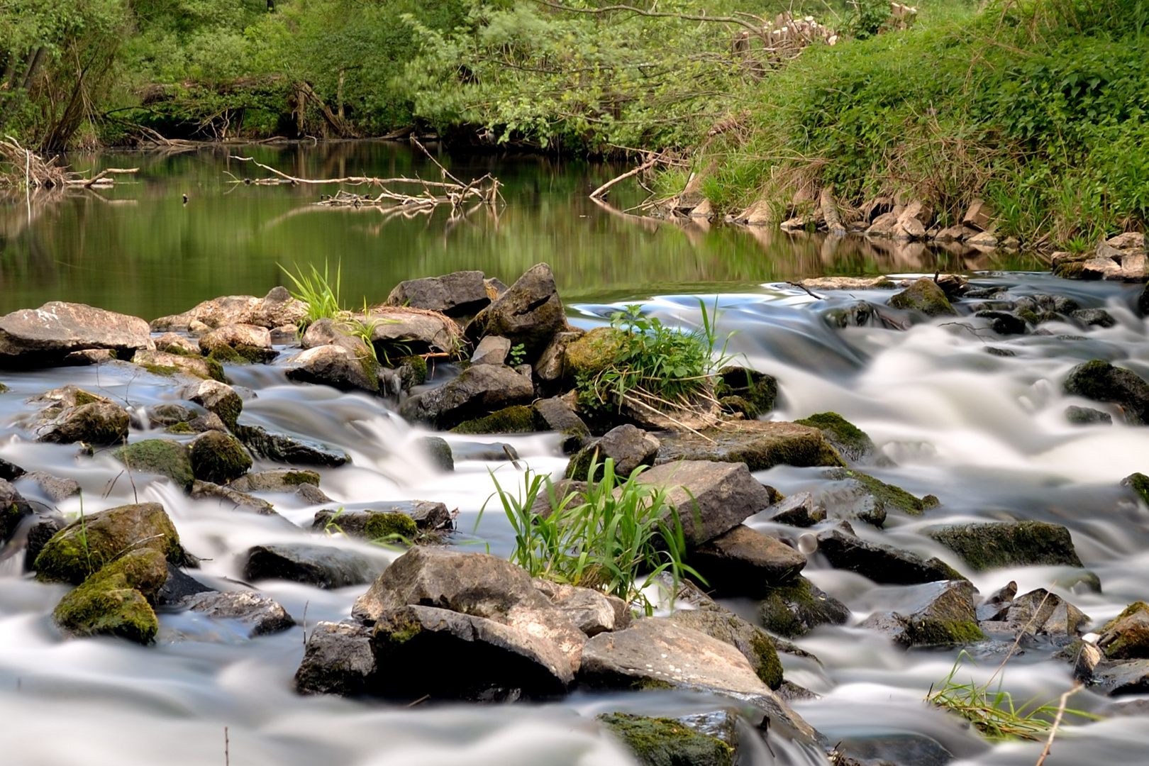 Bachlauf am Stausee bei Steinau