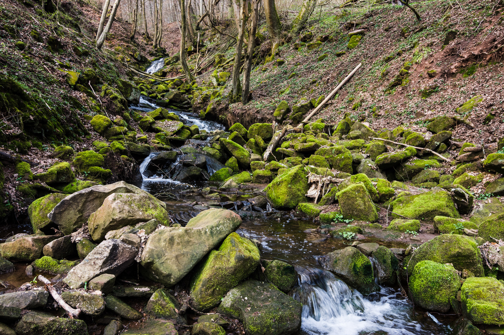 Bachlauf am Steinbachpfad