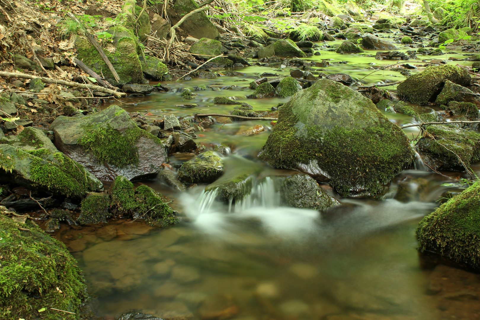 Bachlauf am Wegesrand