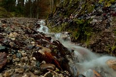 Bachlauf am Wegesrand