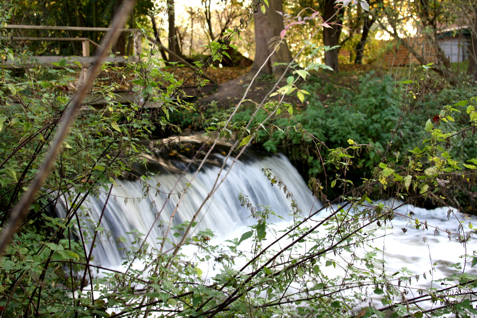 Bachlauf an der Gymnicher Mühle