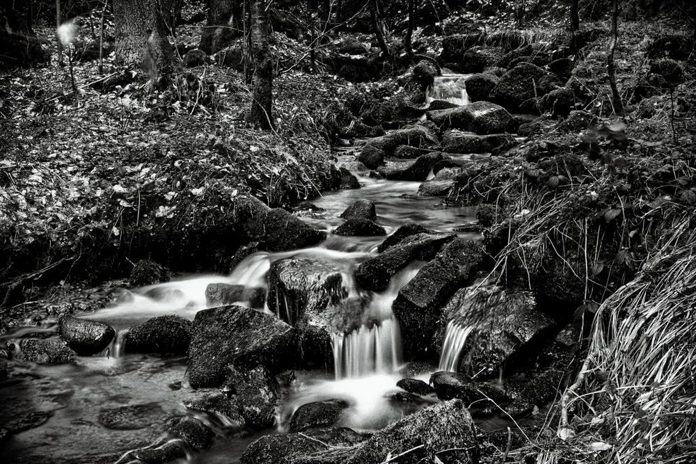 Bachlauf an der Ilz