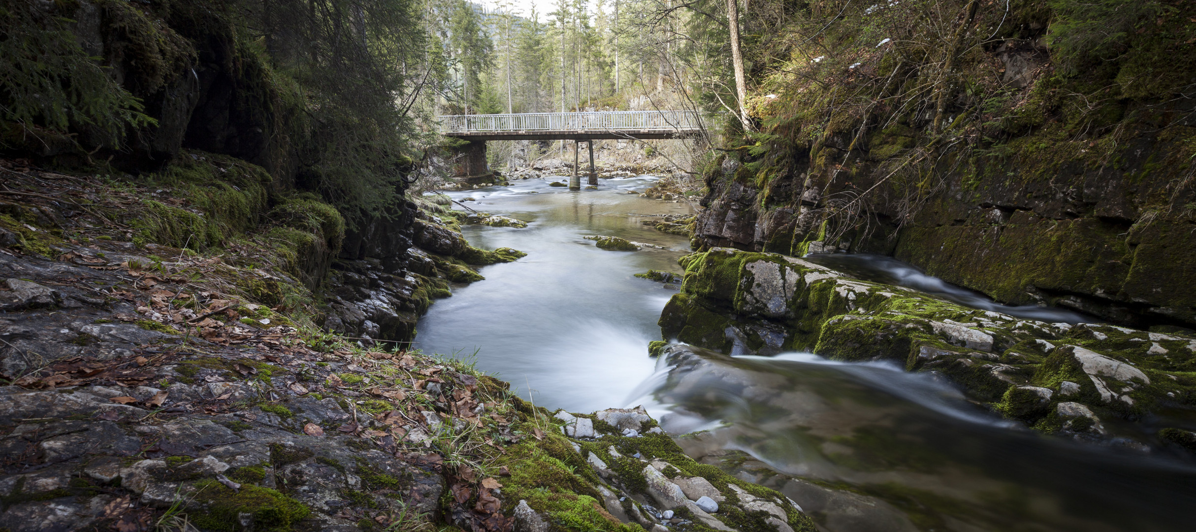 Bachlauf an der Naturbrücke