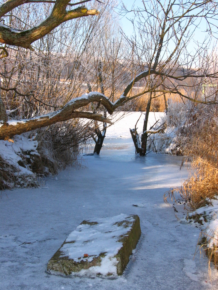 Bachlauf an der Werra -10 C