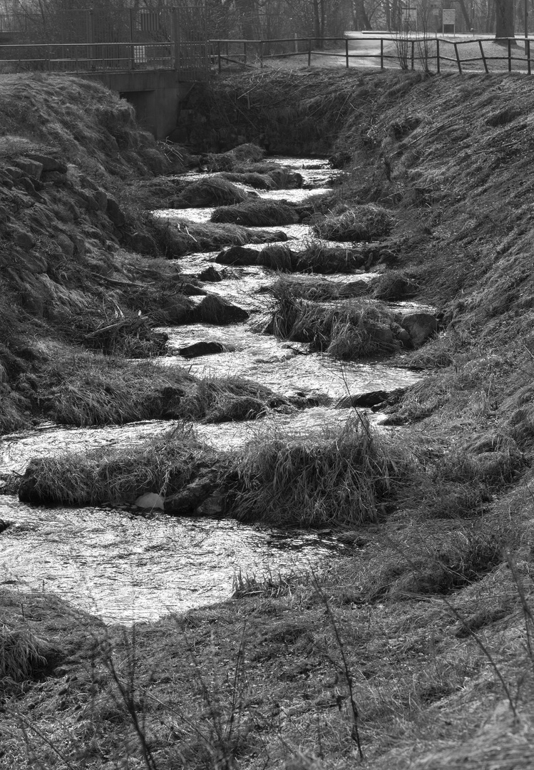  Bachlauf an der Wertach 