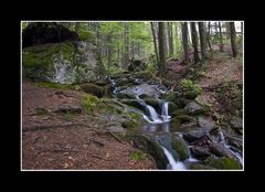 Bachlauf auf dem Weg zum Falkenstein