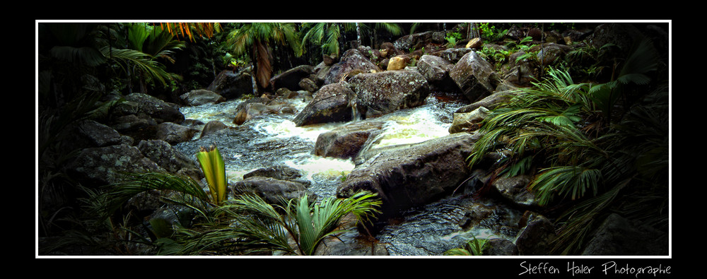 Bachlauf auf den Seychellen