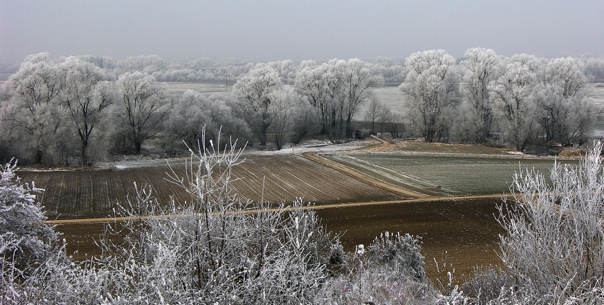 Bachlauf aus der Vogelperspektive