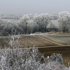 Bachlauf aus der Vogelperspektive