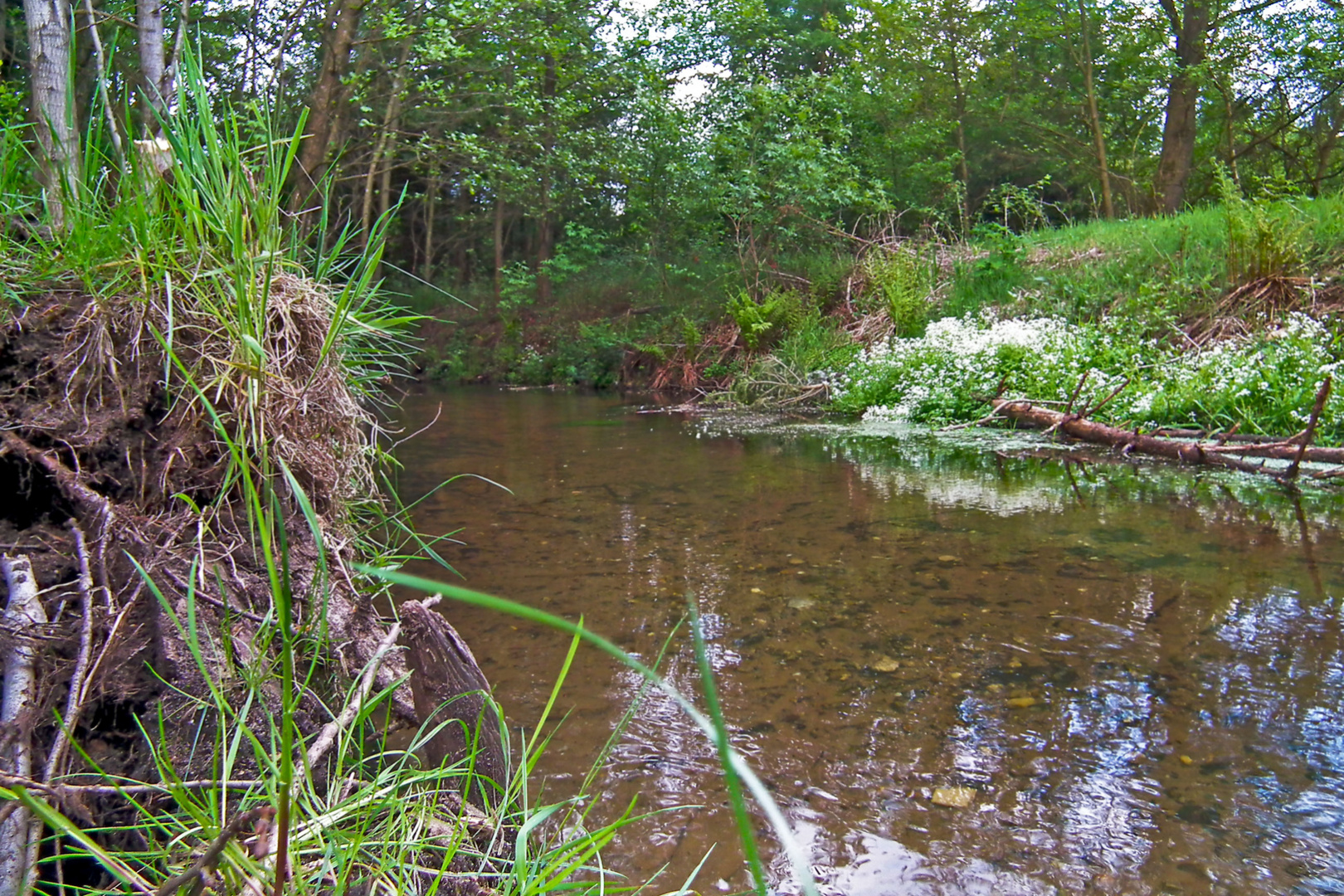 Bachlauf