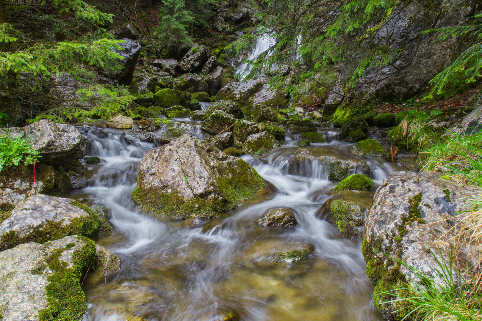 Bachlauf