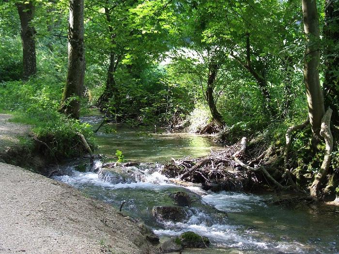 Bachlauf Bad Urach