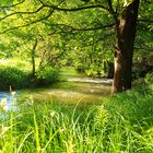 Bachlauf Bayrischer Wald