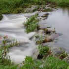 Bachlauf Bayrischer Wald