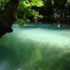 Bachlauf bei Antalya (Türkei)