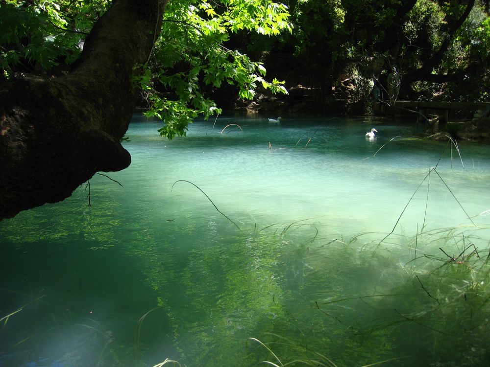 Bachlauf bei Antalya (Türkei)