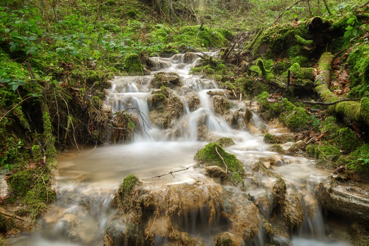 Bachlauf bei Dietingen