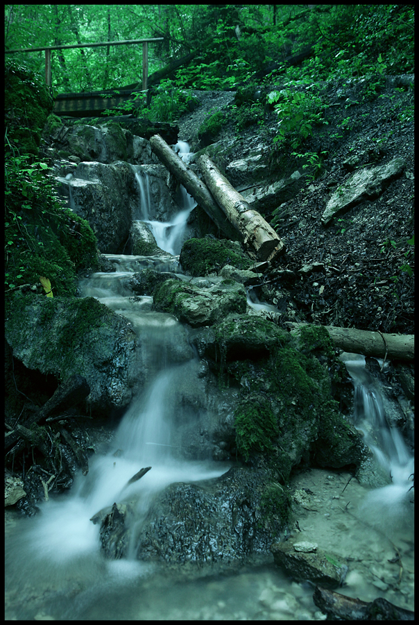 bachlauf bei Kollbrunn