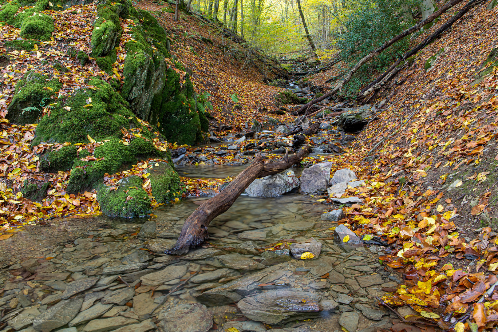 Bachlauf bei Müngsten