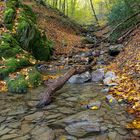 Bachlauf bei Müngsten