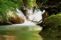 Bachlauf bei Oberdiessbach