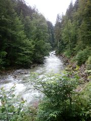 Bachlauf bei Obermaiselstein