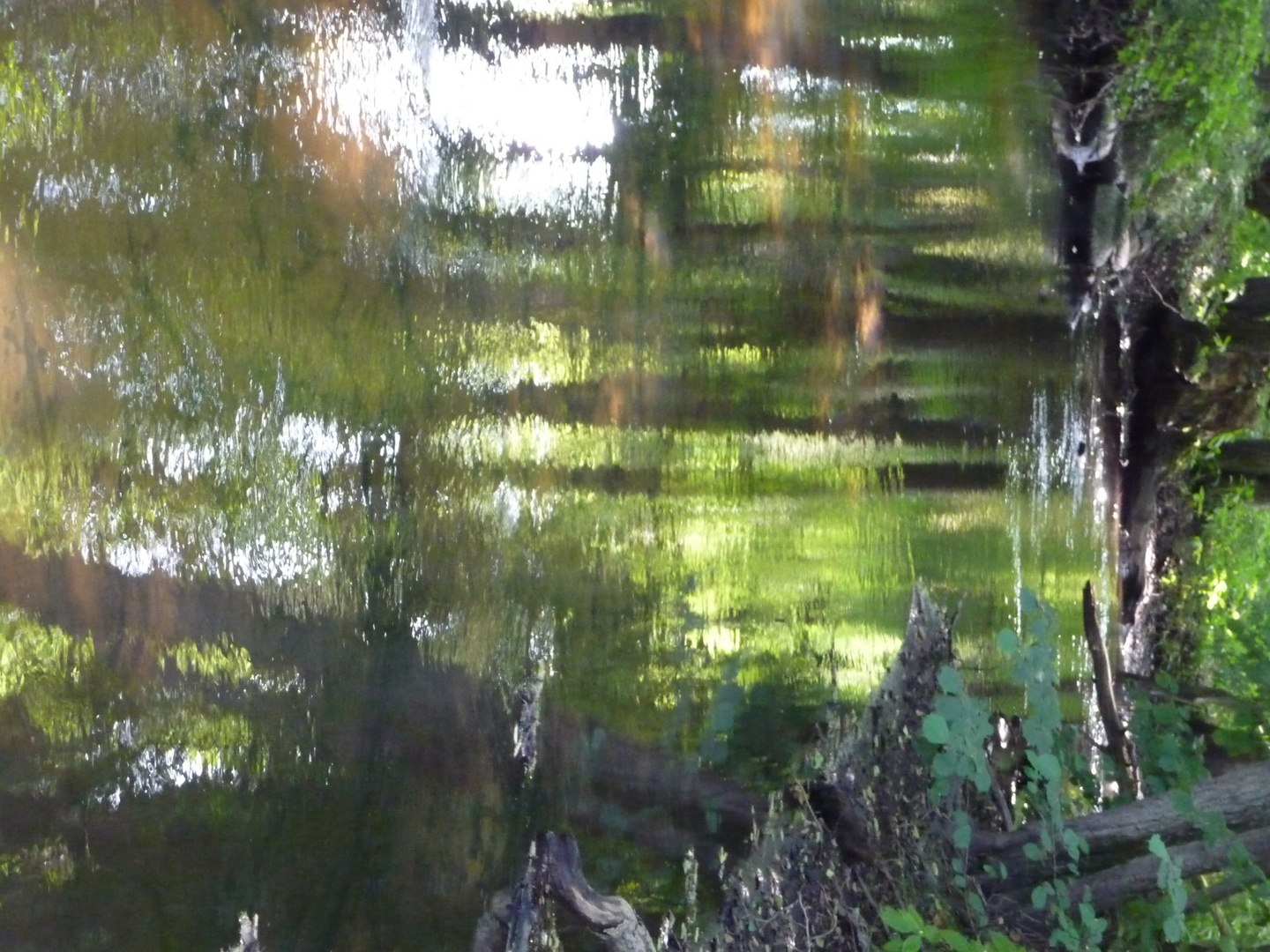 Bachlauf bei Plön