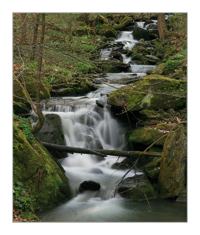 Bachlauf bei Rauenstein