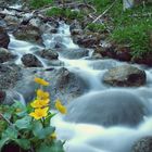 Bachlauf bei Ruhpolding