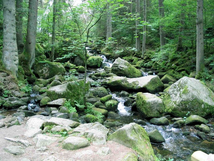 Bachlauf bei Triberg