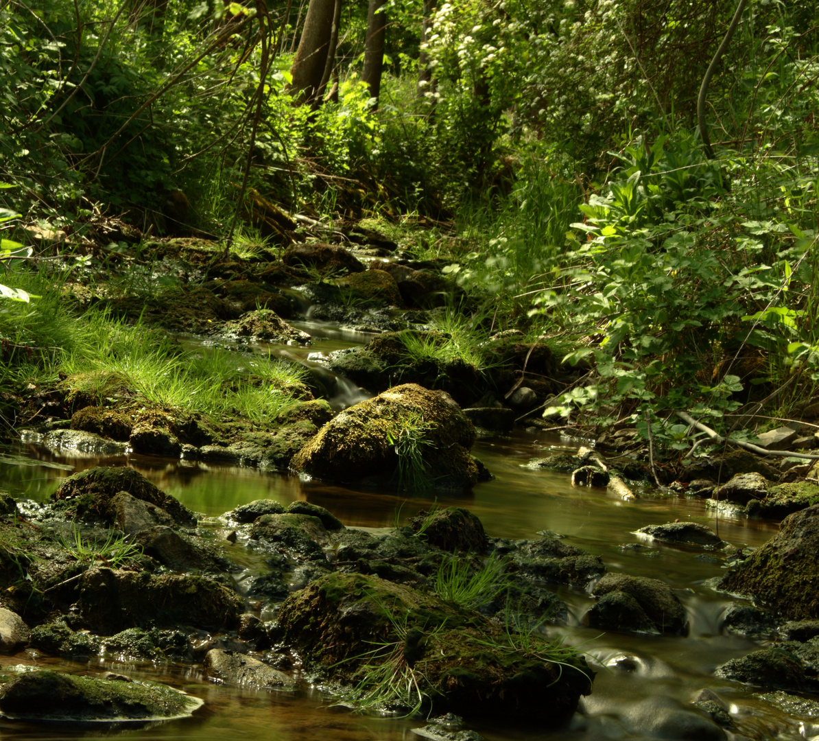 Bachlauf bei Würzburg