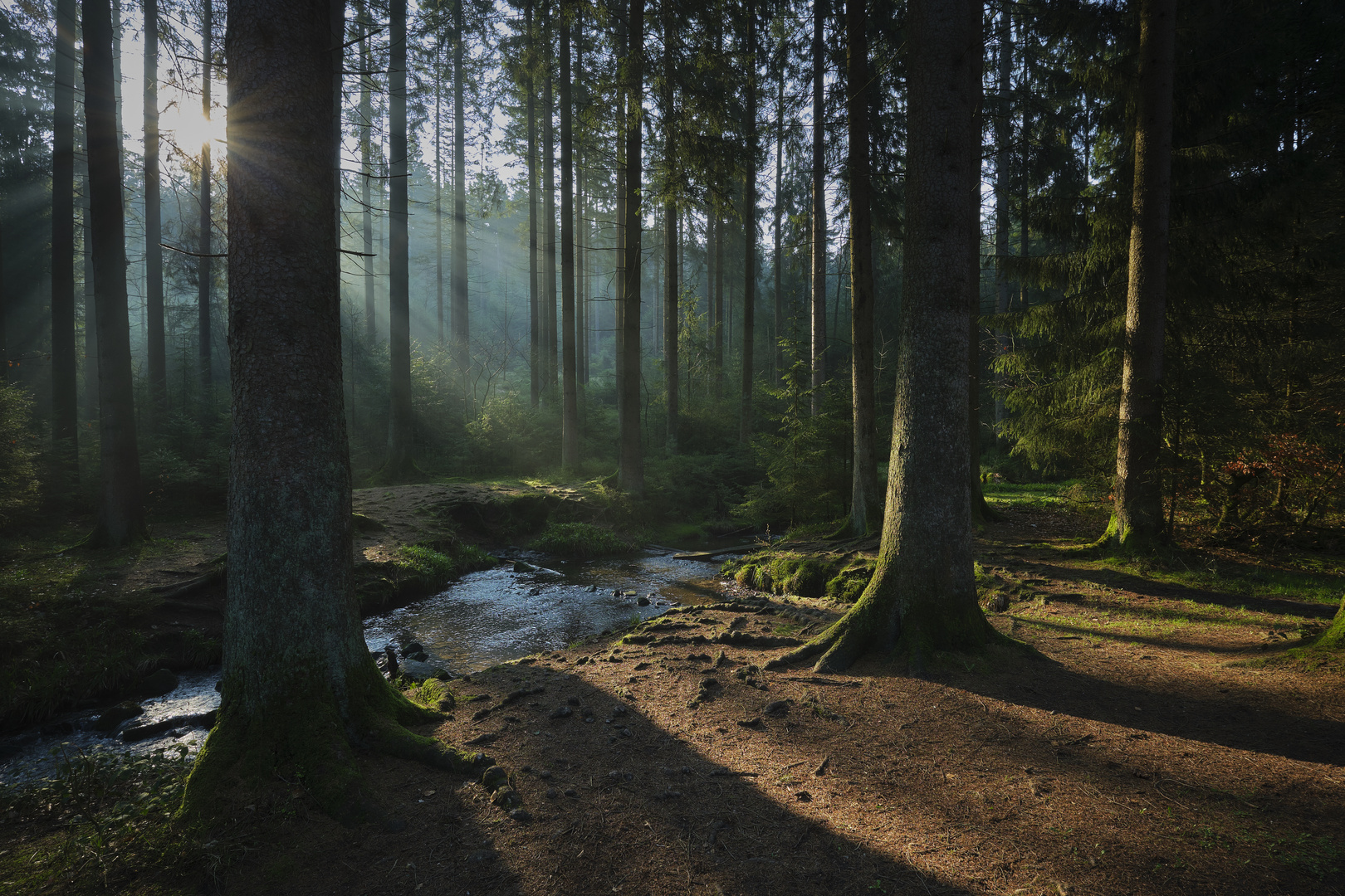 Bachlauf beim Sonnenaufgang